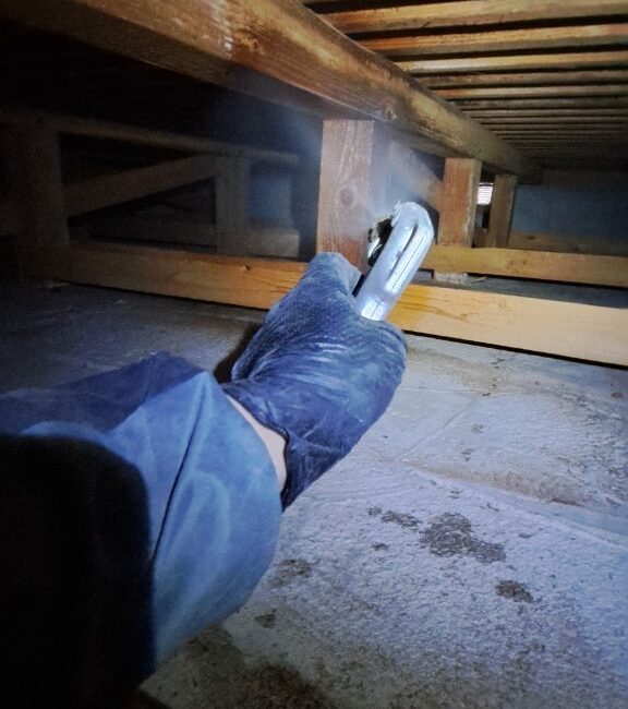 福岡県みやま市　シロアリ(白蟻）による被害　A様邸　駆除実績