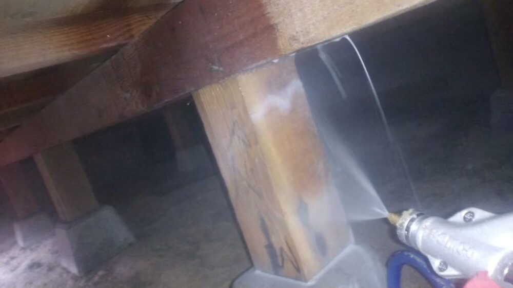 福岡県糟屋郡篠栗町　シロアリ(白蟻）による被害　E様邸　駆除実績