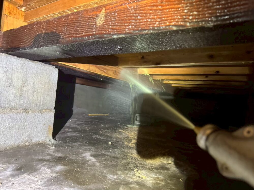 福岡県宗像市　シロアリ(白蟻)による被害　T様邸　駆除実績