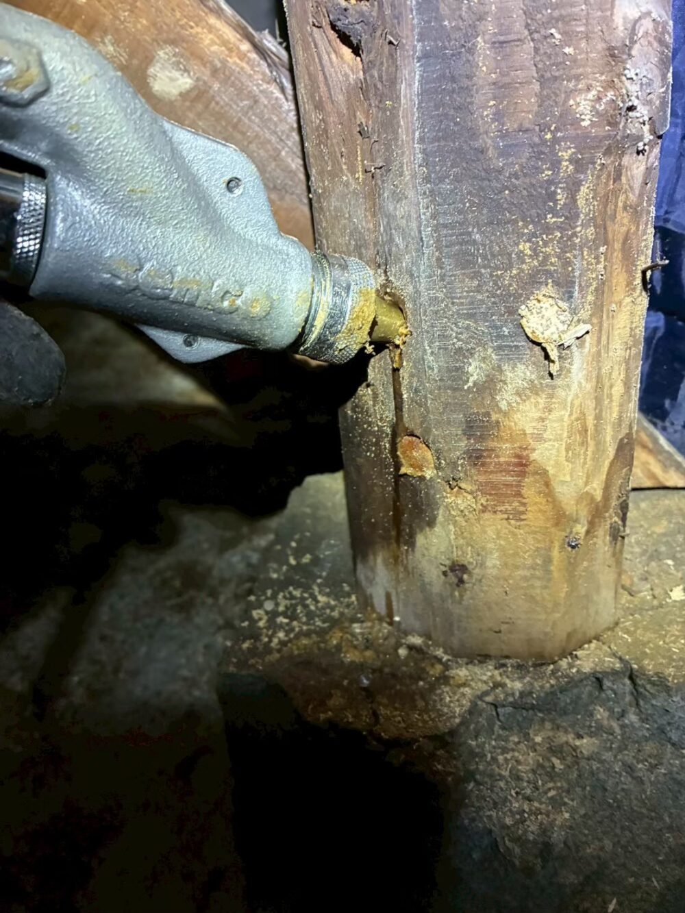 福岡県小郡市　シロアリ(白蟻)による被害　A様邸　駆除実績