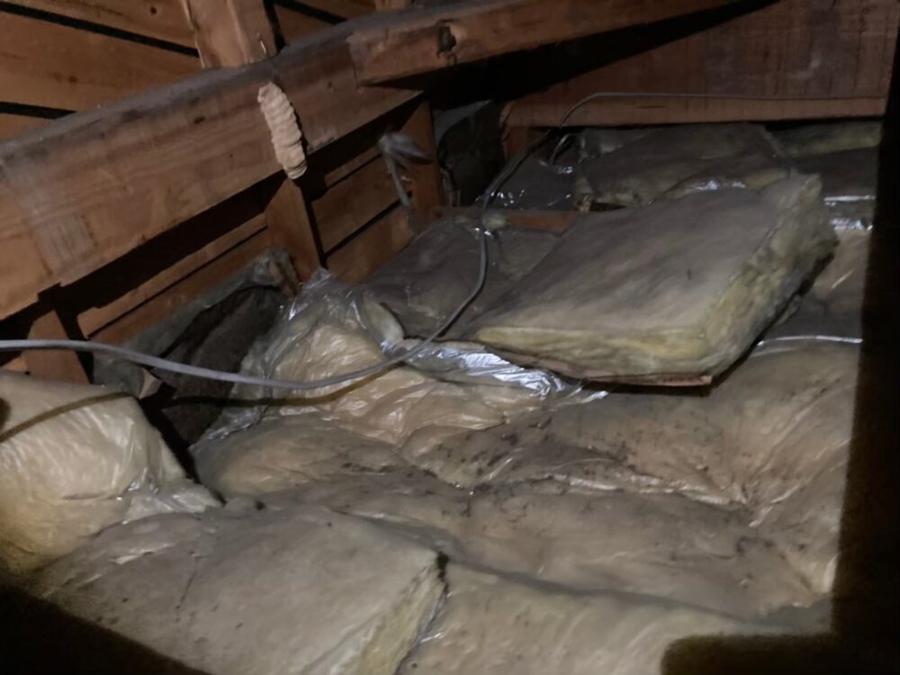 イタチによる被害　S様邸　駆除実績