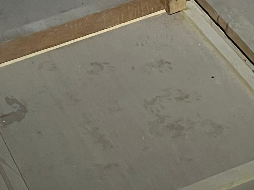 ハクビシンによる被害　K様邸　駆除実績