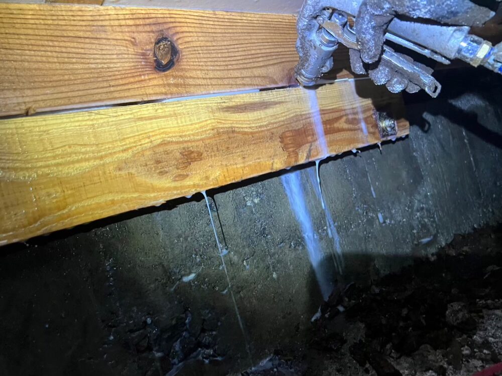 佐賀県伊万里市　シロアリ(白蟻）による被害　U様邸　駆除実績