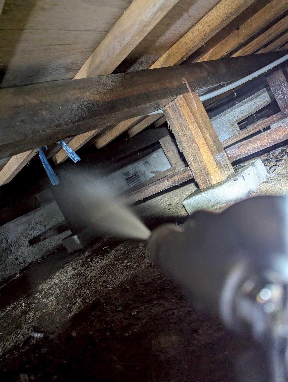 福岡県久留米市　シロアリ(白蟻）による被害　T様邸　駆除実績