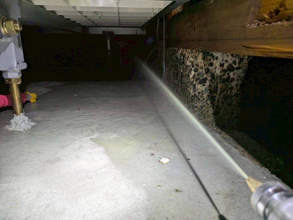 福岡県遠賀郡水巻町　シロアリ(白蟻）による被害　B様邸　駆除実績