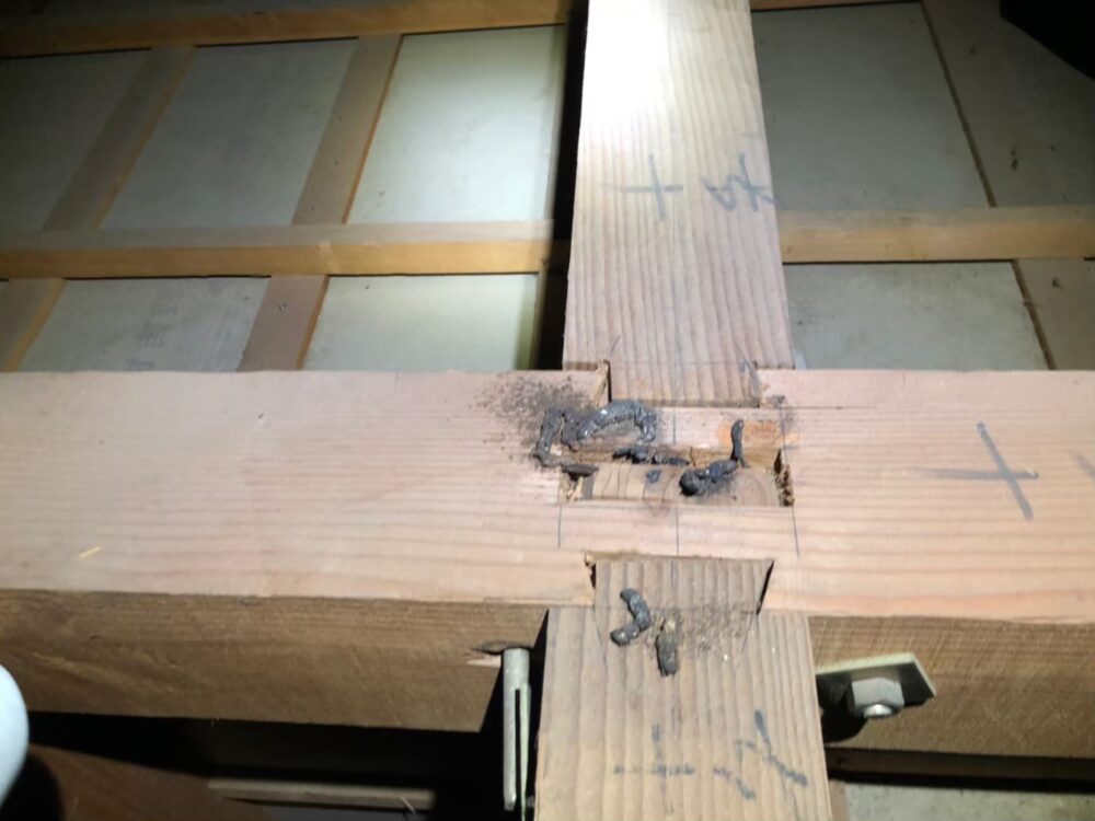 佐賀県鳥栖市　アライグマによる被害　Y様邸　駆除実績