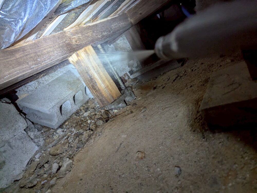 佐賀県藤津郡太良町　シロアリ(白蟻）による被害　M様邸　駆除実績