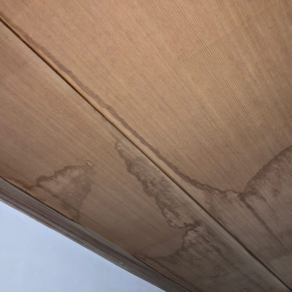 佐賀県唐津市　アライグマによる被害　I様邸　駆除実績