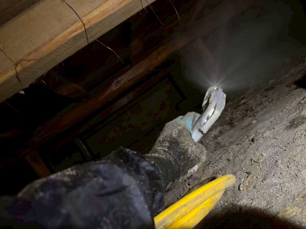 福岡県糸島市　シロアリ(白蟻)による被害　Y様邸　駆除実績