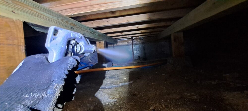 佐賀県武雄市　シロアリ(白蟻）による被害　W様邸　駆除実績