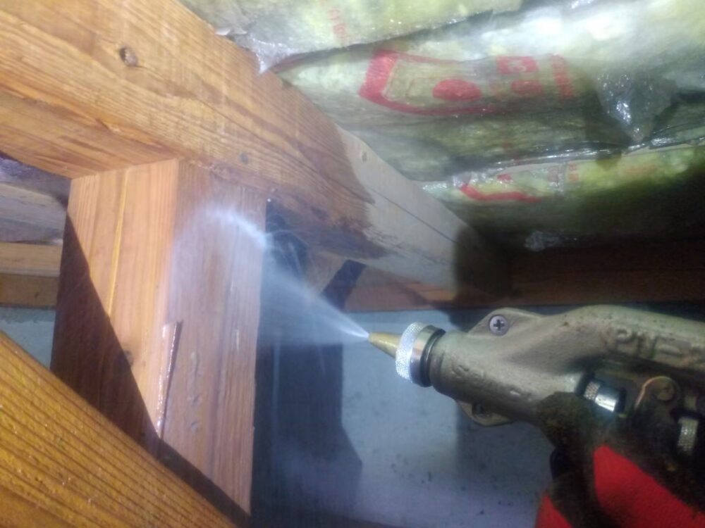 福岡県糟屋郡新宮町　シロアリ(白蟻）による被害　J様邸　駆除実績