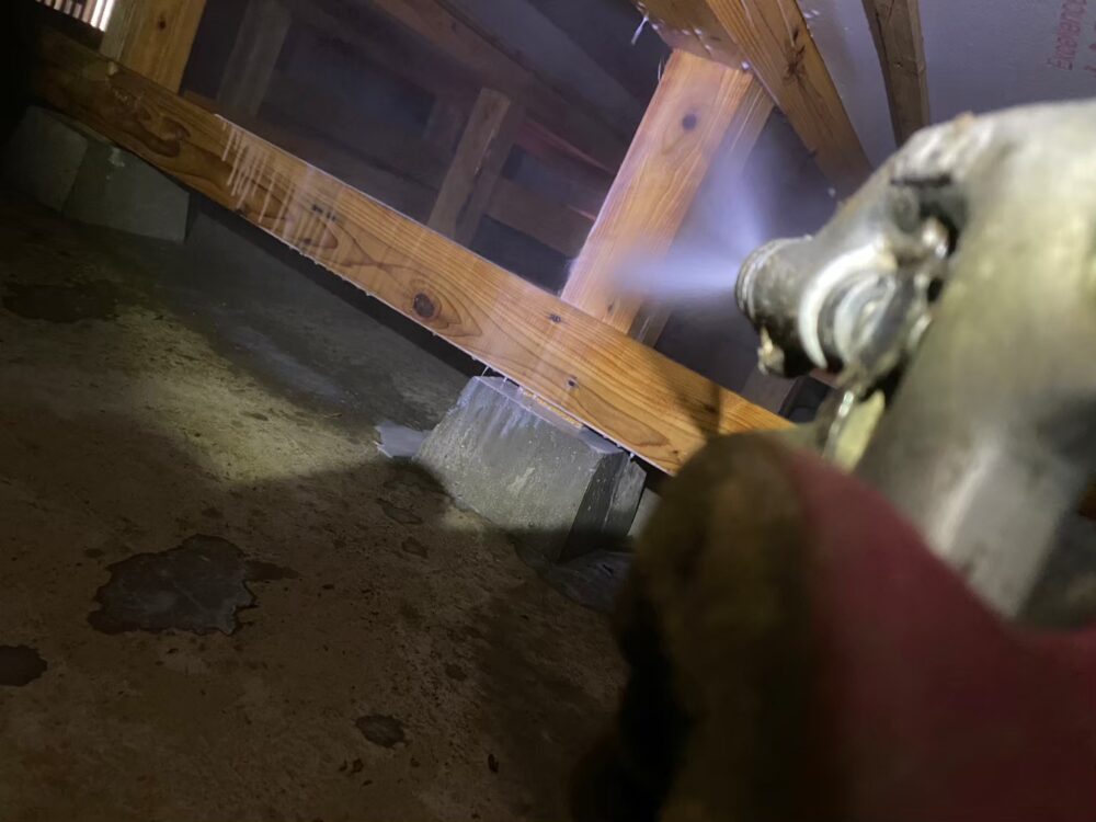 福岡県うきは市　シロアリ(白蟻）による被害　M様邸　駆除実績