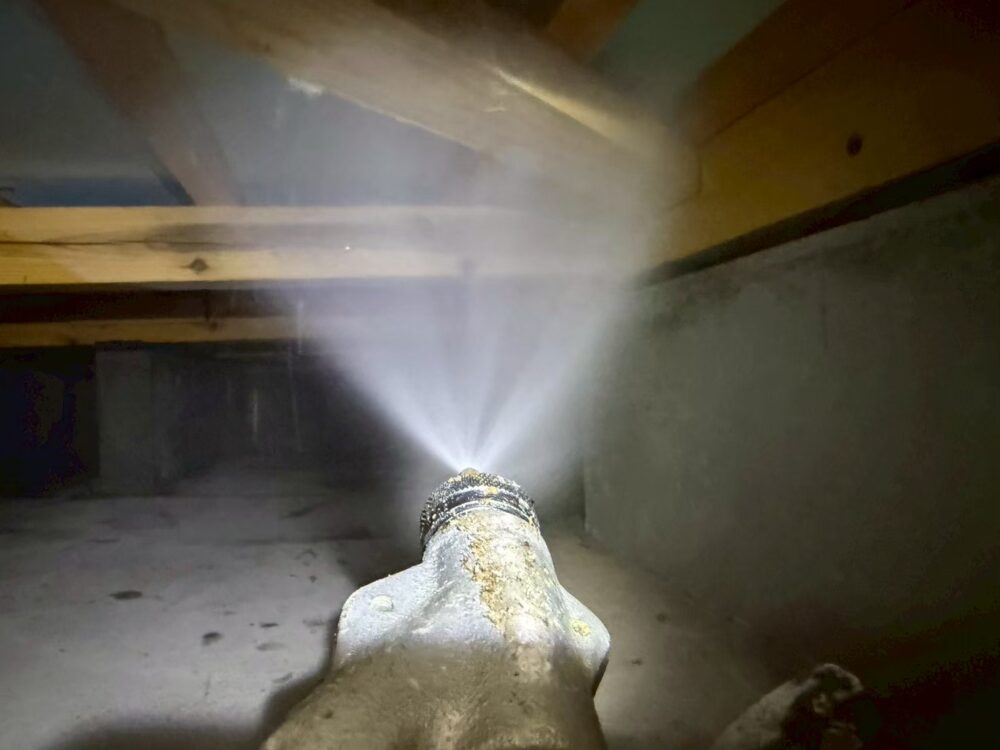 福岡県遠賀郡香春町　シロアリ(白蟻）による被害　Y様邸　駆除実績