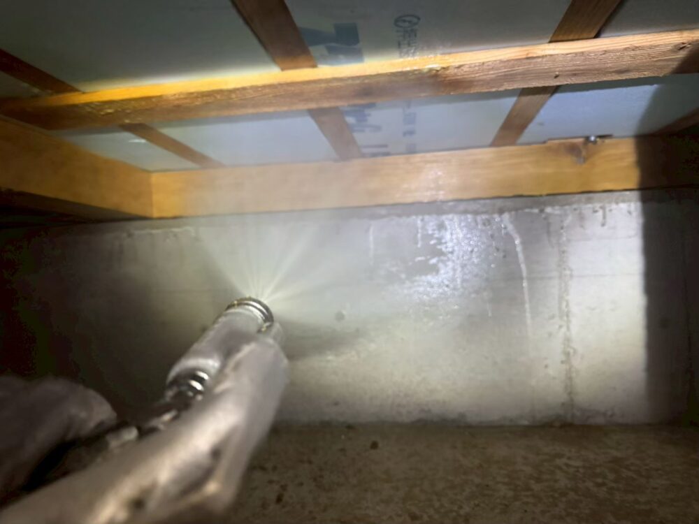 福岡県古賀市　イタチ(白蟻）による被害　W様邸　駆除実績