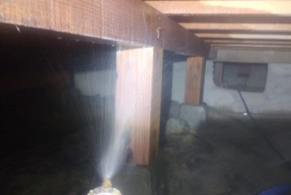 佐賀県藤津郡太良町　シロアリ(白蟻）による被害　S様邸　駆除実績