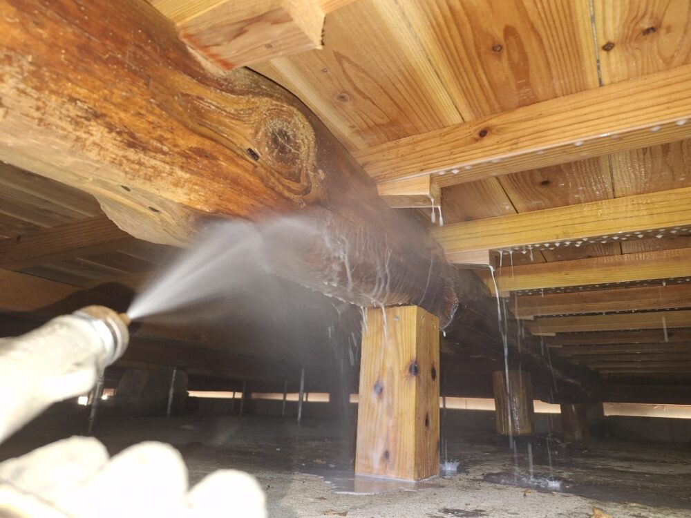 福岡県田川市　シロアリ(白蟻）による被害　N様邸　駆除実績