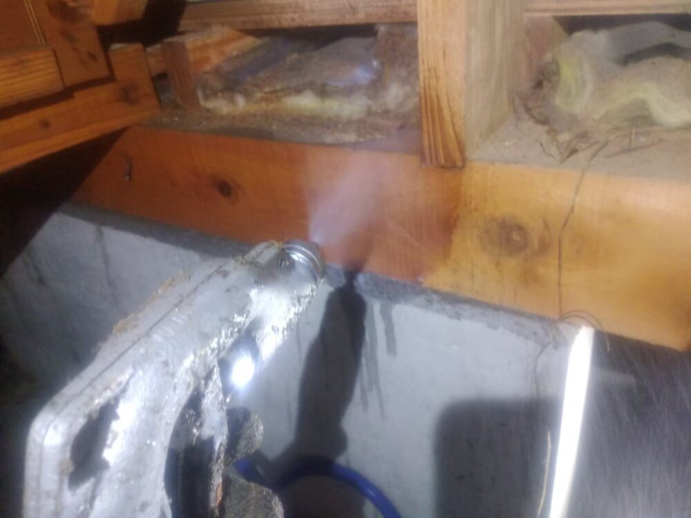 福岡県京都郡みやこ町　シロアリ(白蟻）による被害　W様邸　駆除実績