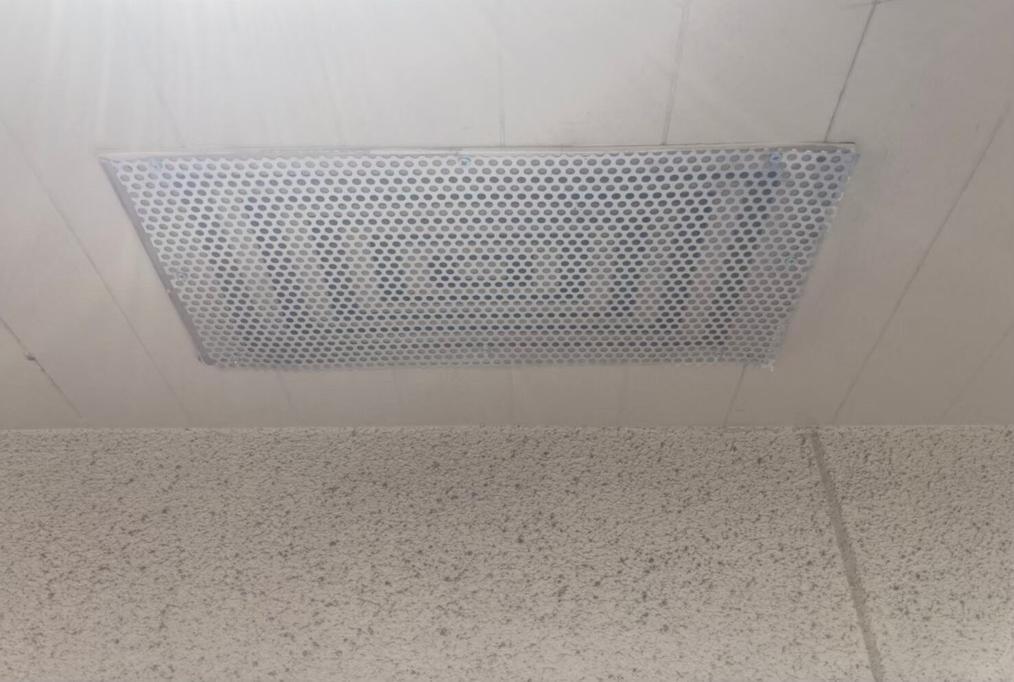 イタチによる被害　U様邸　駆除実績