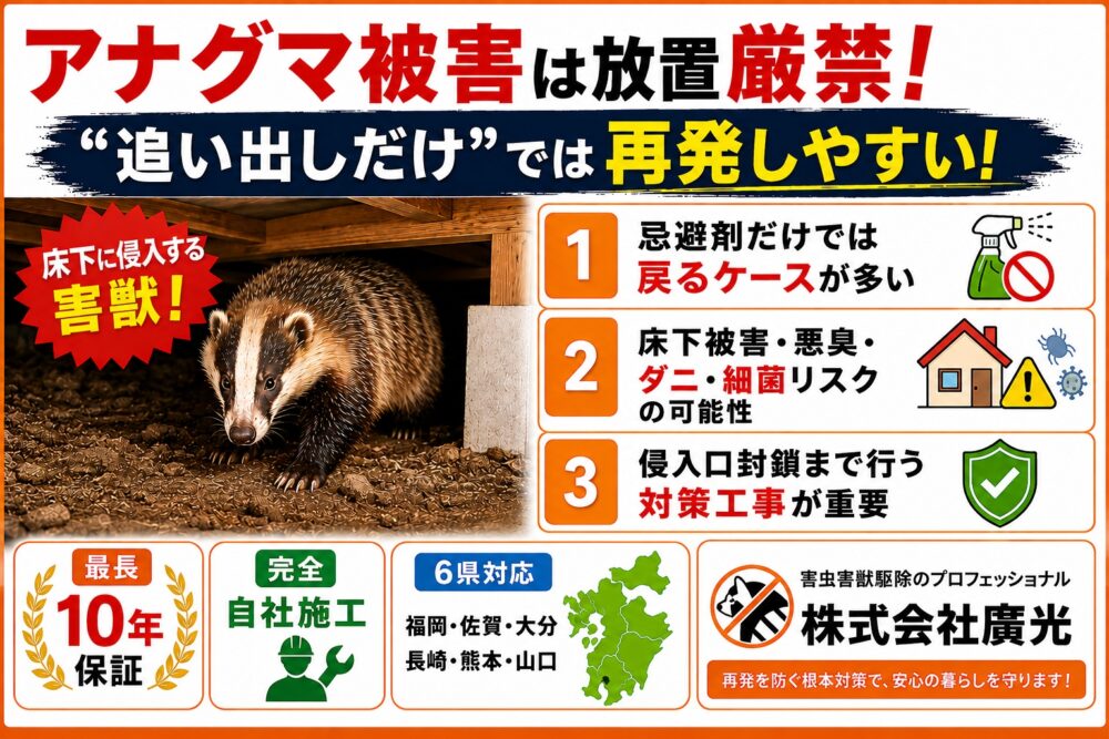 アナグマ駆除は放置厳禁｜嫌いなもの・3つの対策を専門業者が解説