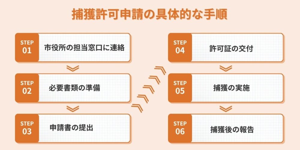 捕獲許可申請の具体的な手順