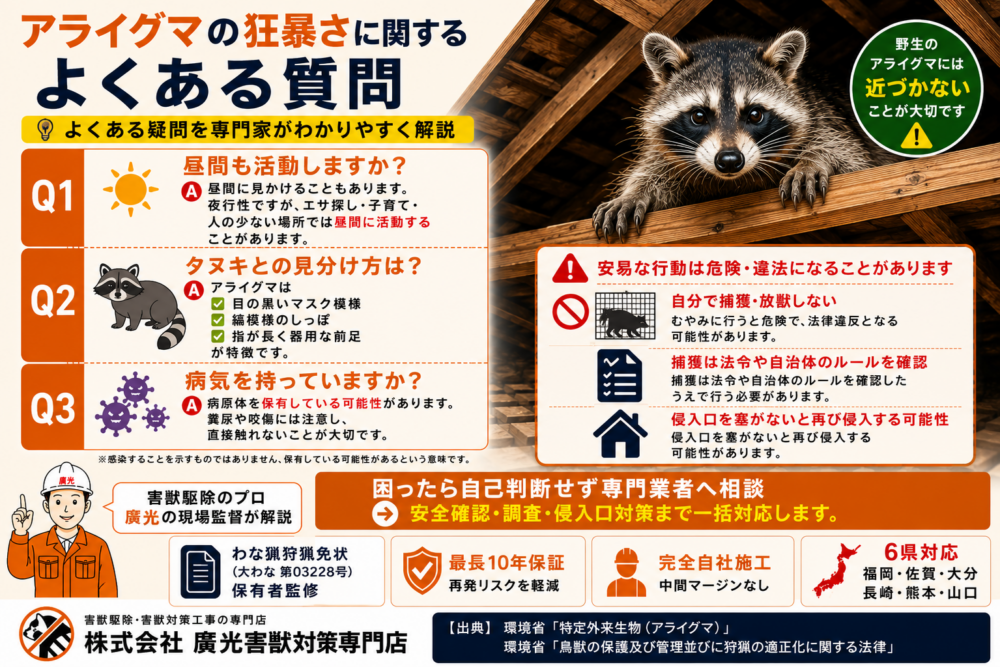 アライグマの狂暴さに関するよくある質問