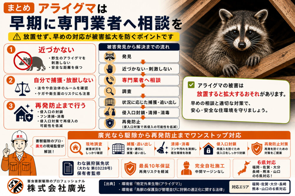まとめ｜アライグマは早期に専門業者へ相談を
