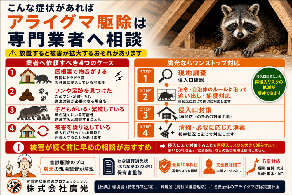 アライグマ駆除を業者へ依頼すべきケースと廣光の対応