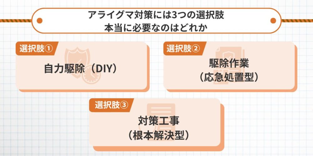 アライグマ対策には3つの選択肢