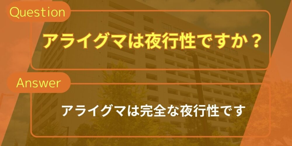 アライグマ駆除質問