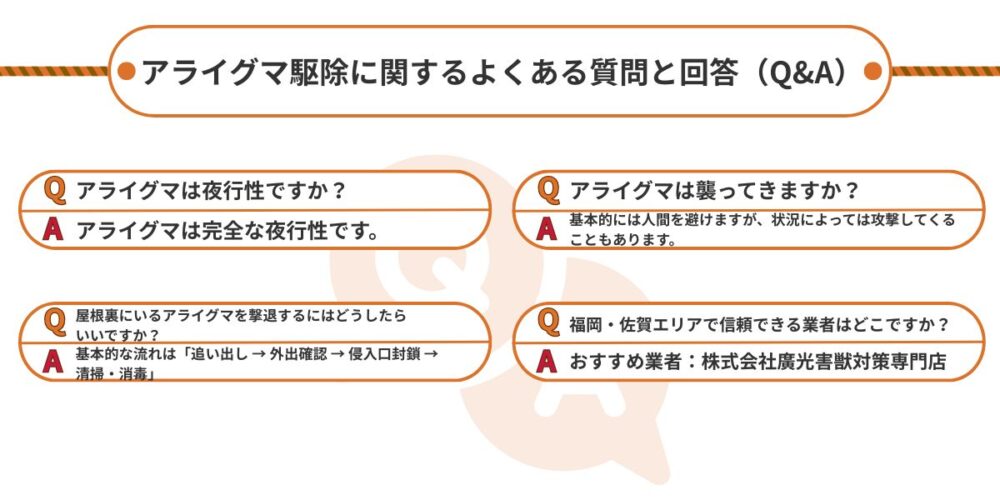アライグマについて質問