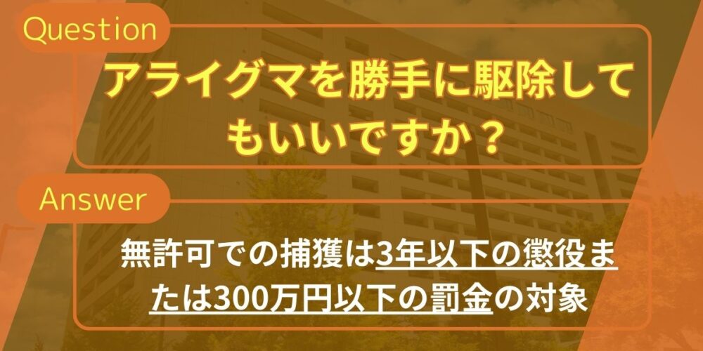アライグマを勝手に駆除してもいいですか