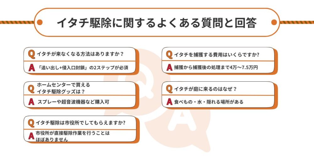 イタチ駆除に関するよくある質問