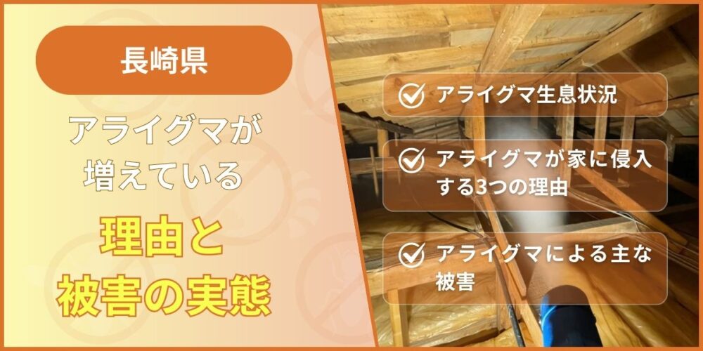 長崎県にアライグマが増えている理由と被害の実態