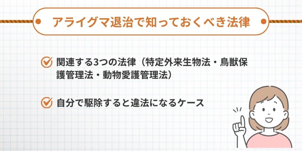 アライグマ退治で知っておくべき法律