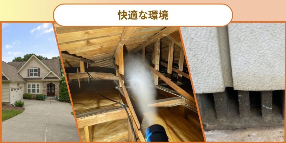 アライグマ快適な環境