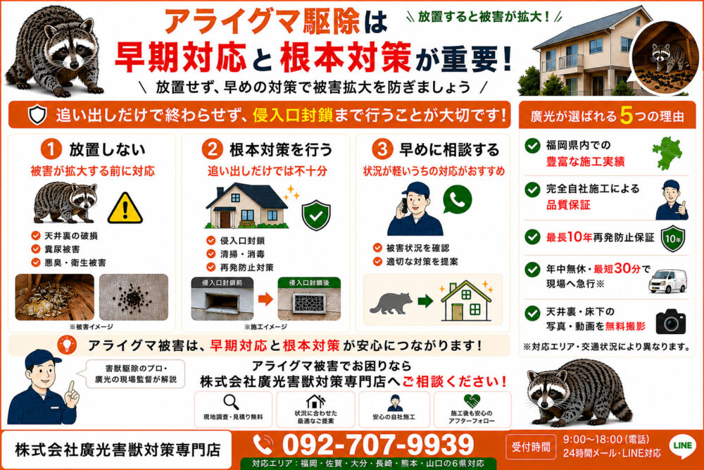 まとめ｜アライグマ駆除は早期対応と根本的対策が重要