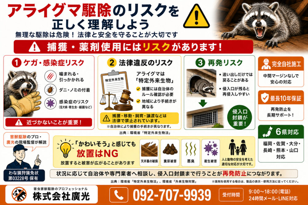 アライグマ駆除のリスクを正しく理解しよう