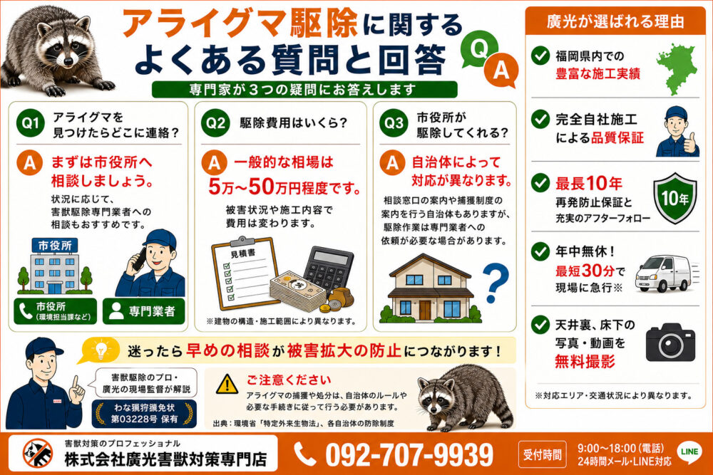 アライグマ駆除に関するよくある質問と回答