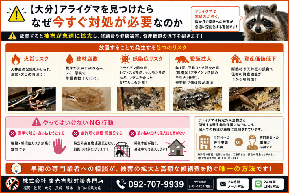 大分 アライグマを見つけたら 今すぐ対処が必要