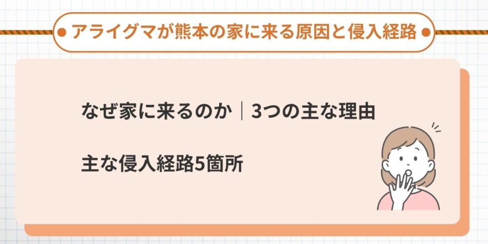 アライグマが熊本の家に来る原因と侵入経路