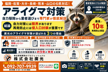アライグマ対策|自力駆除から業者選びまで専門家が徹底解説