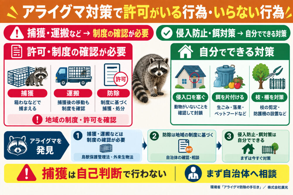 アライグマ対策で許可がいる行為・いらない行為