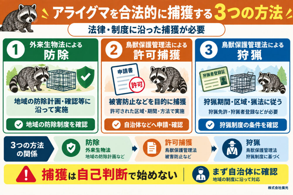 アライグマを合法的に捕獲する3つの方法