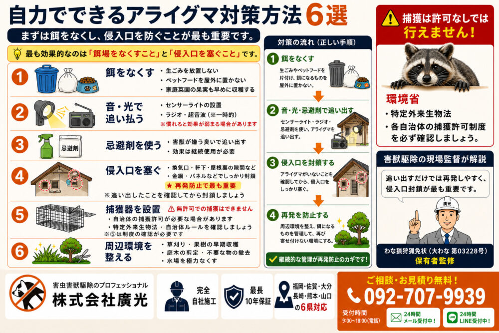 自力でできるアライグマ対策方法6選