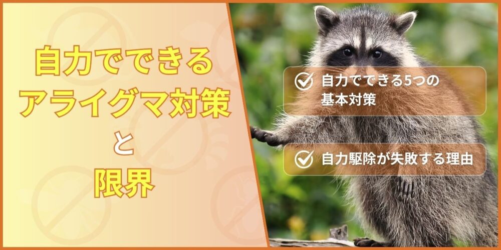 自力で出来るアライグマ対策と限界