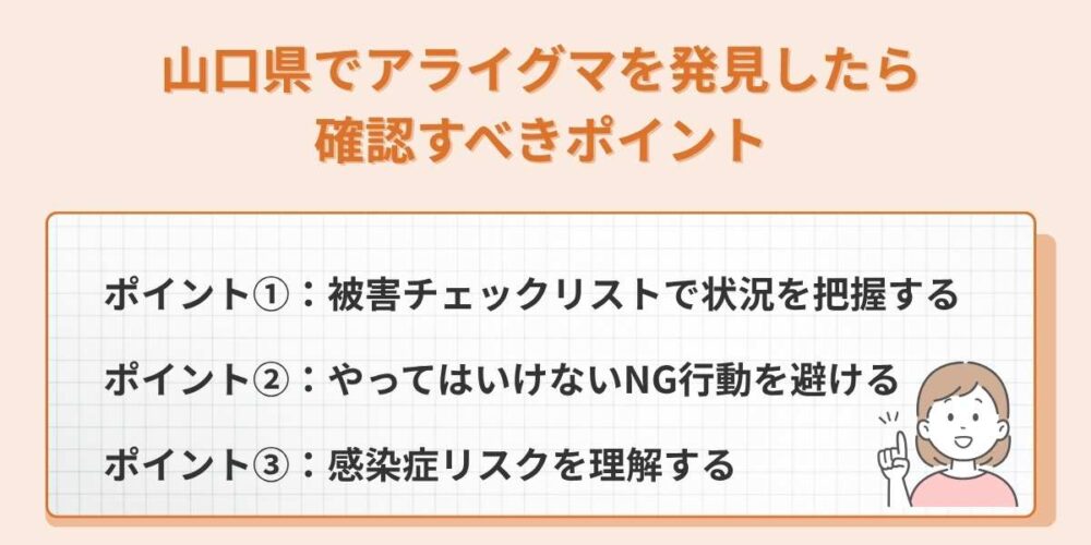 山口県でアライグマを発見したら確認すべきポイント