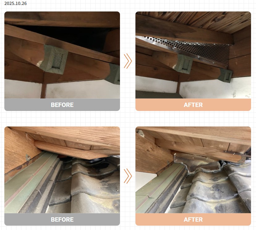 アライグマ駆除 実績