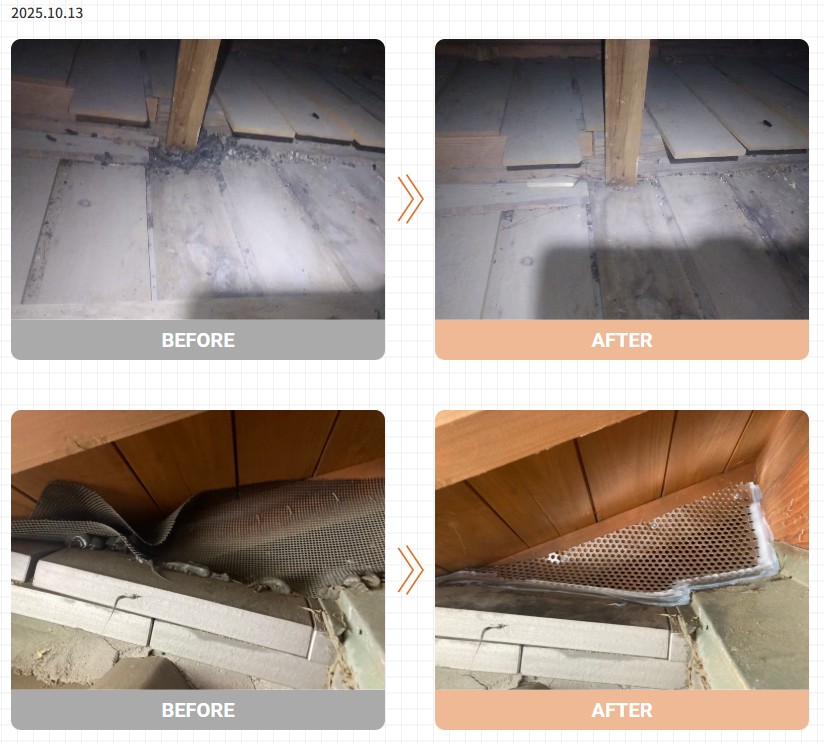 アライグマ駆除 実績