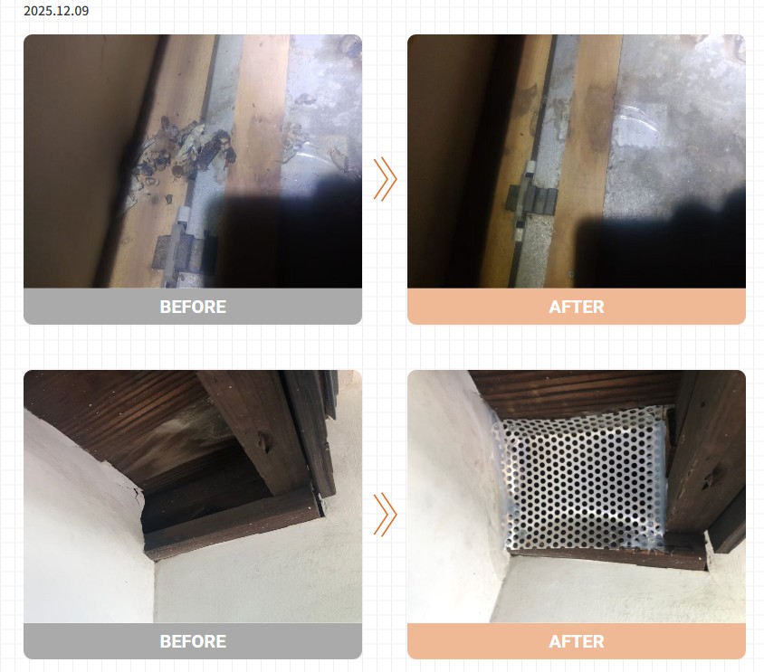 アライグマ駆除実績