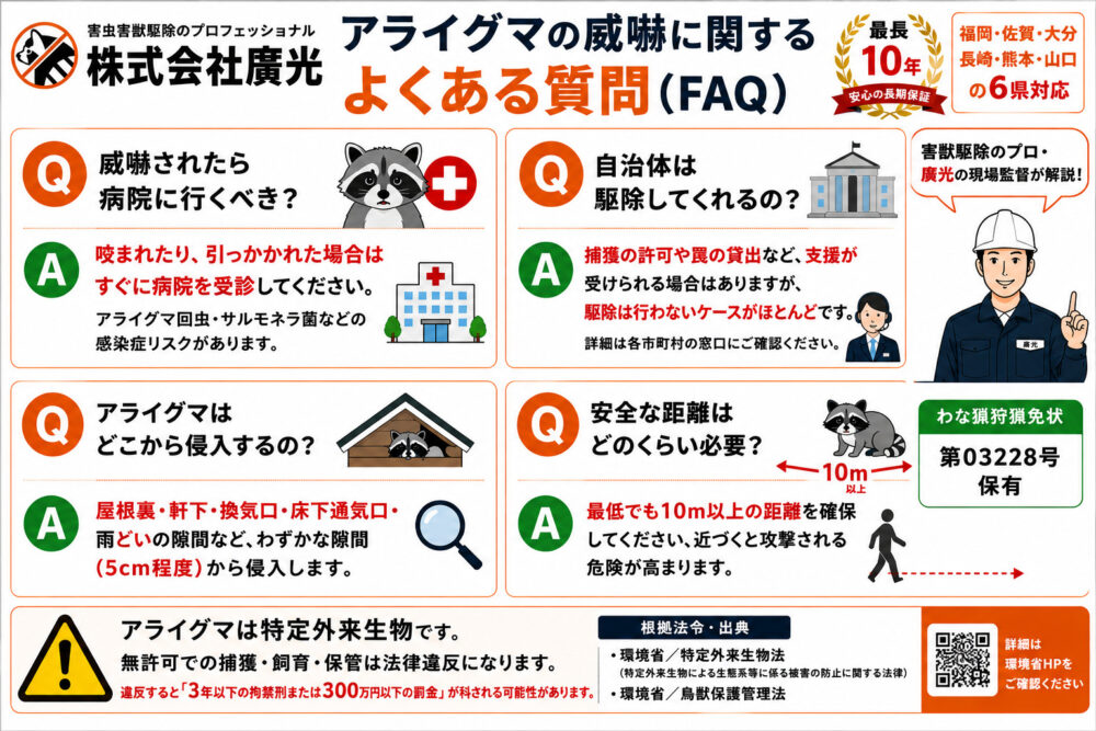 アライグマの威嚇に関するよくある質問